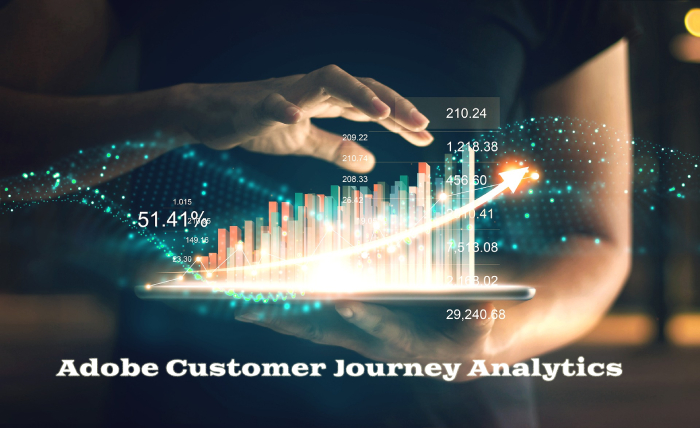 Adobe Customer Journey Analytics Things You Must Know Aco Institute 3029